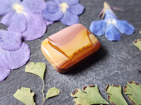Red Falcon jasper