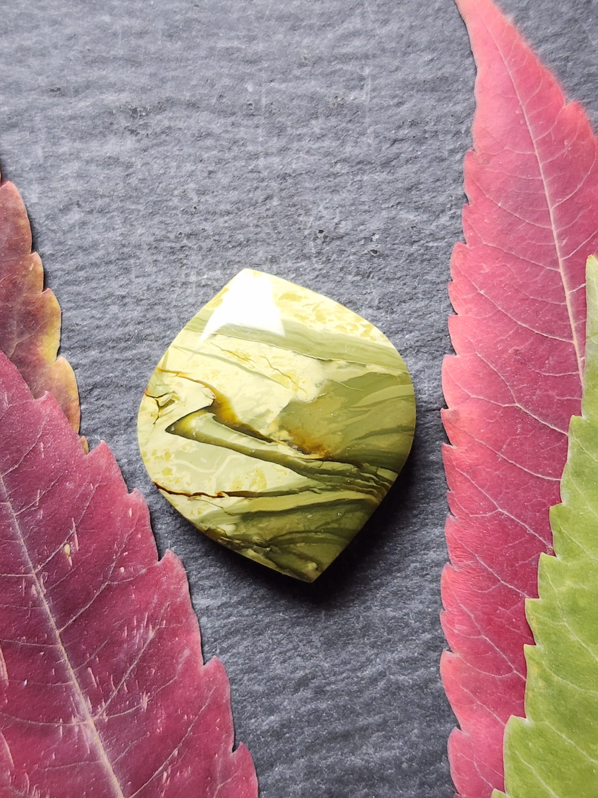 Morrisonite jasper