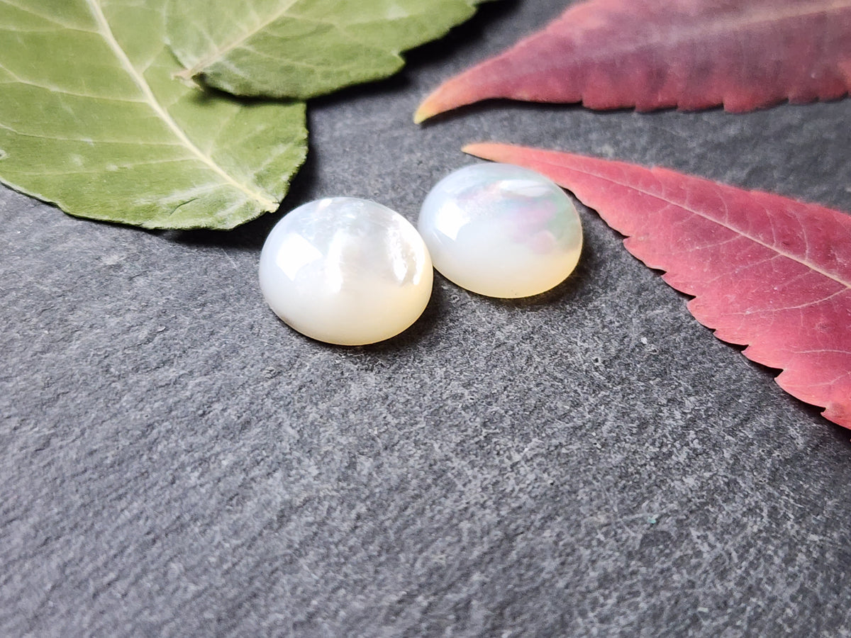 Mother of pearl shell pair (A1)