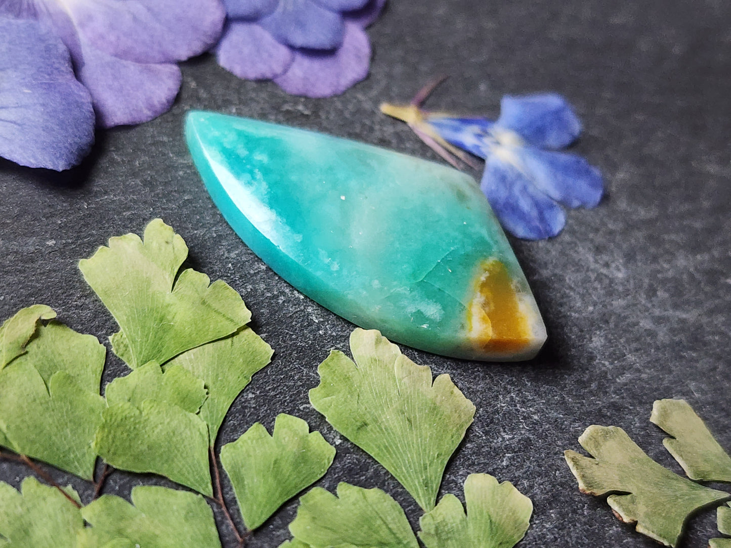 Petrified Blue Opalized wood