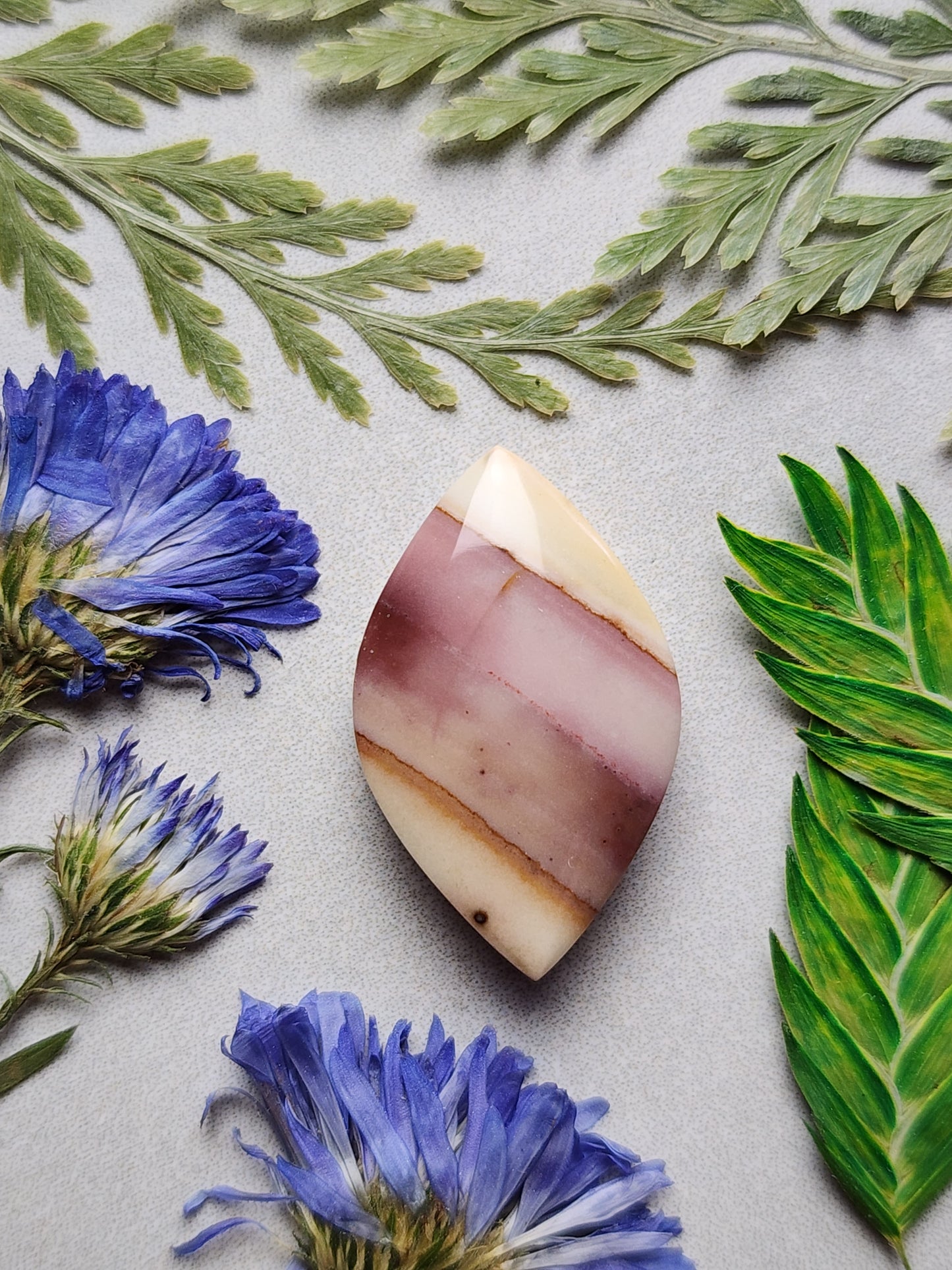 Polychrome jasper