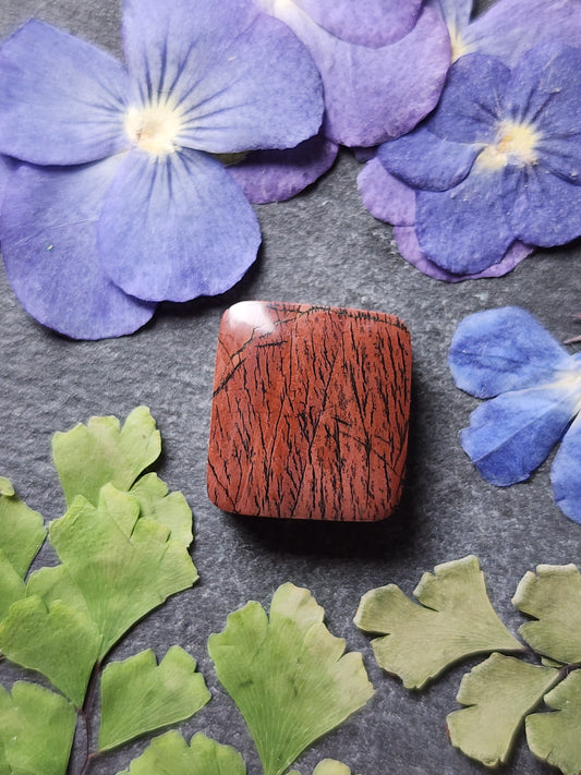 Indian paint stone