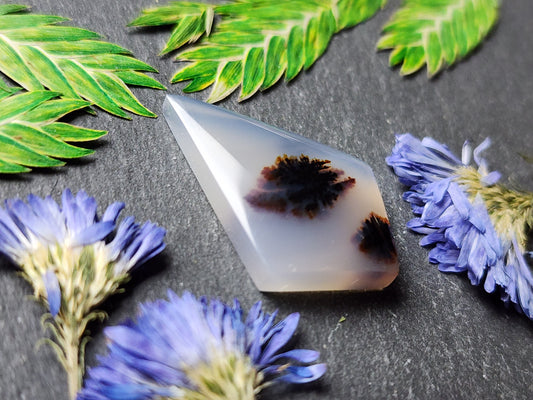 Montana agate