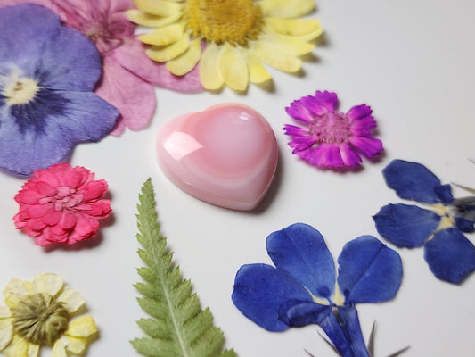 Pink Conch shell heart