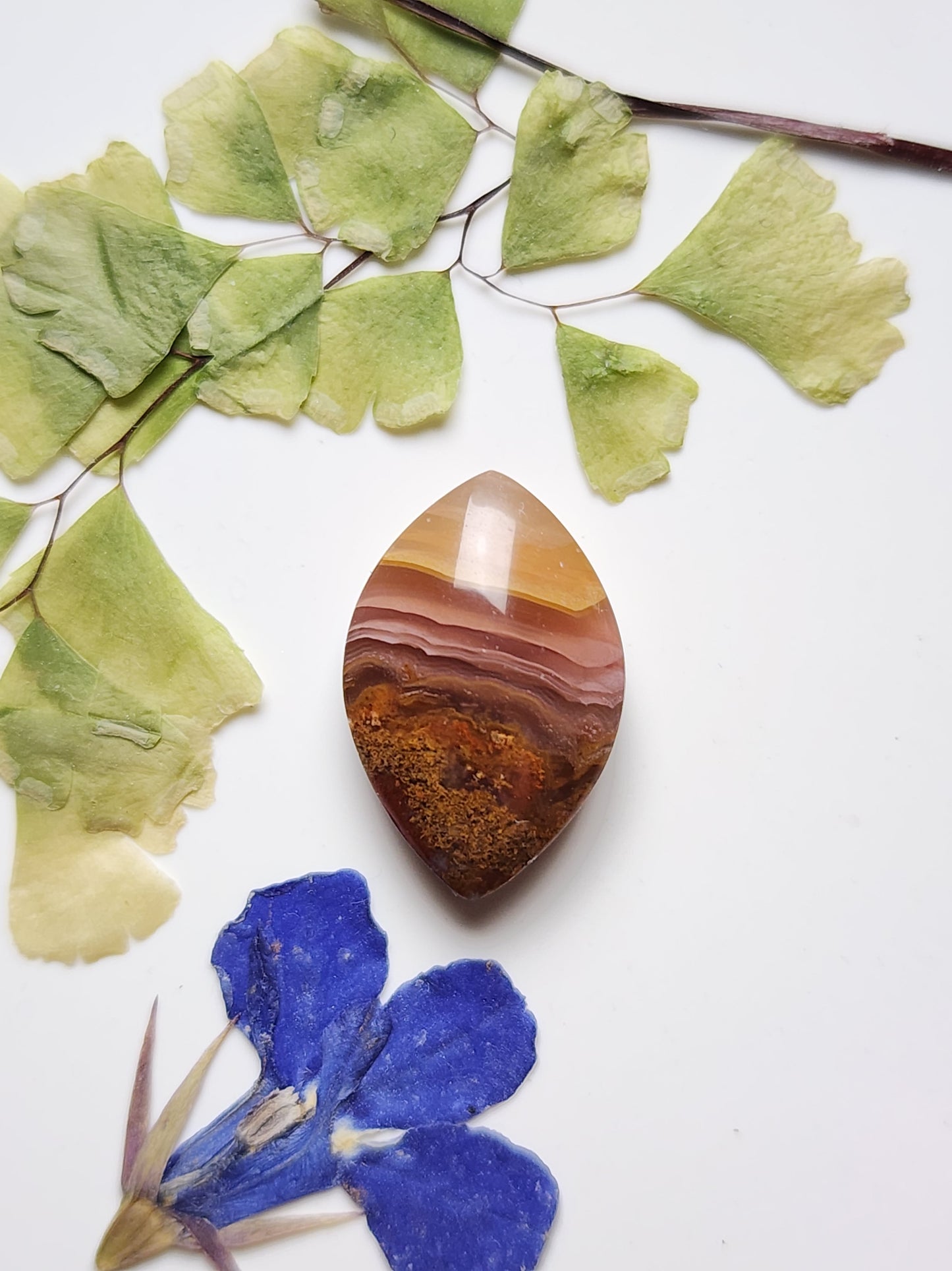 Agua Nueva agate