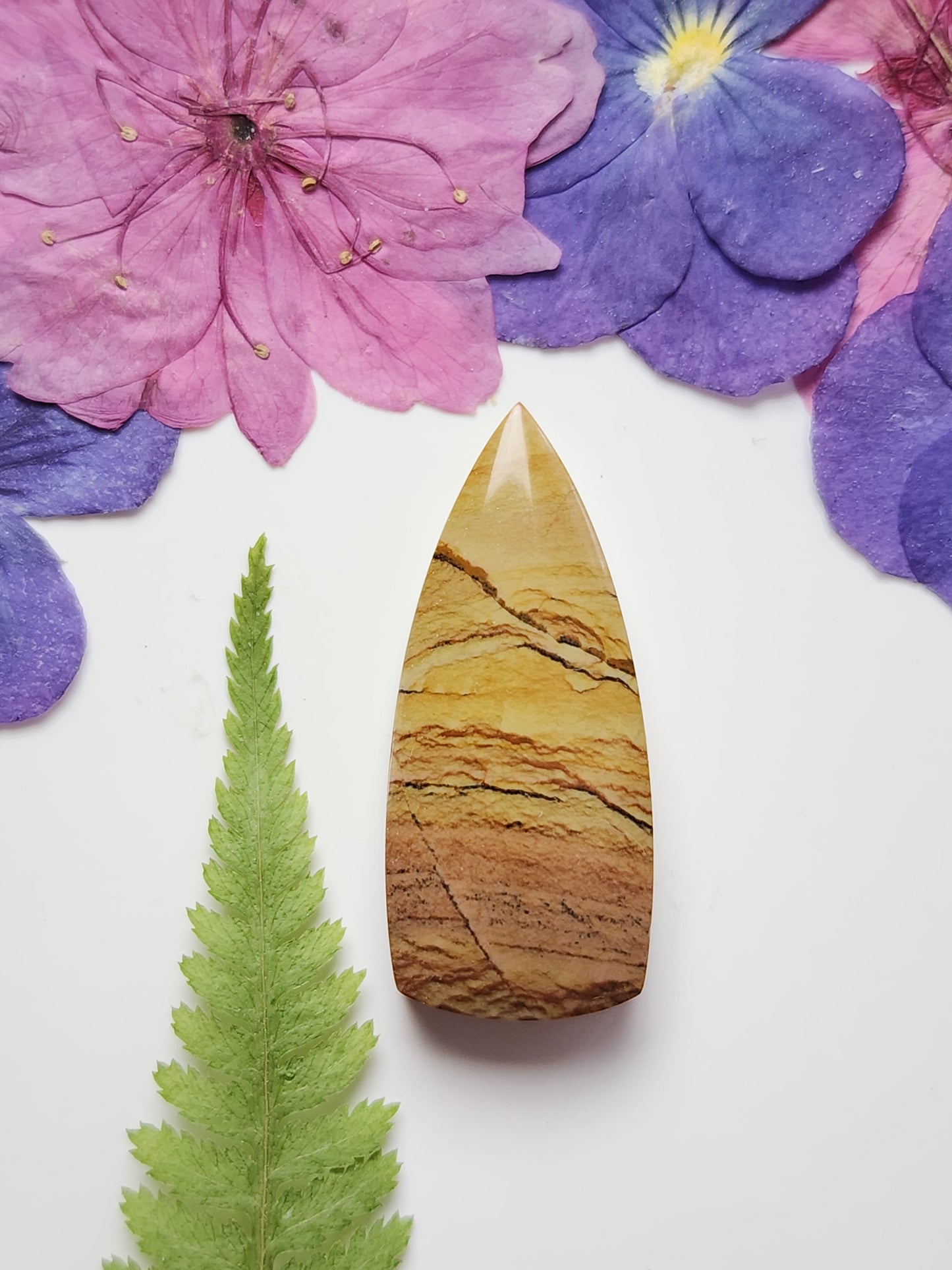 Shadow mountain jasper