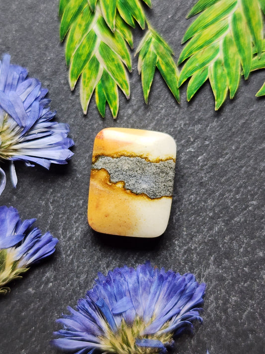 Starry night picture jasper