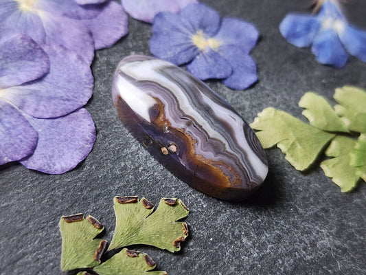 Purple passion agate