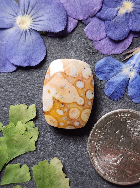 Spotted Fawn jasper