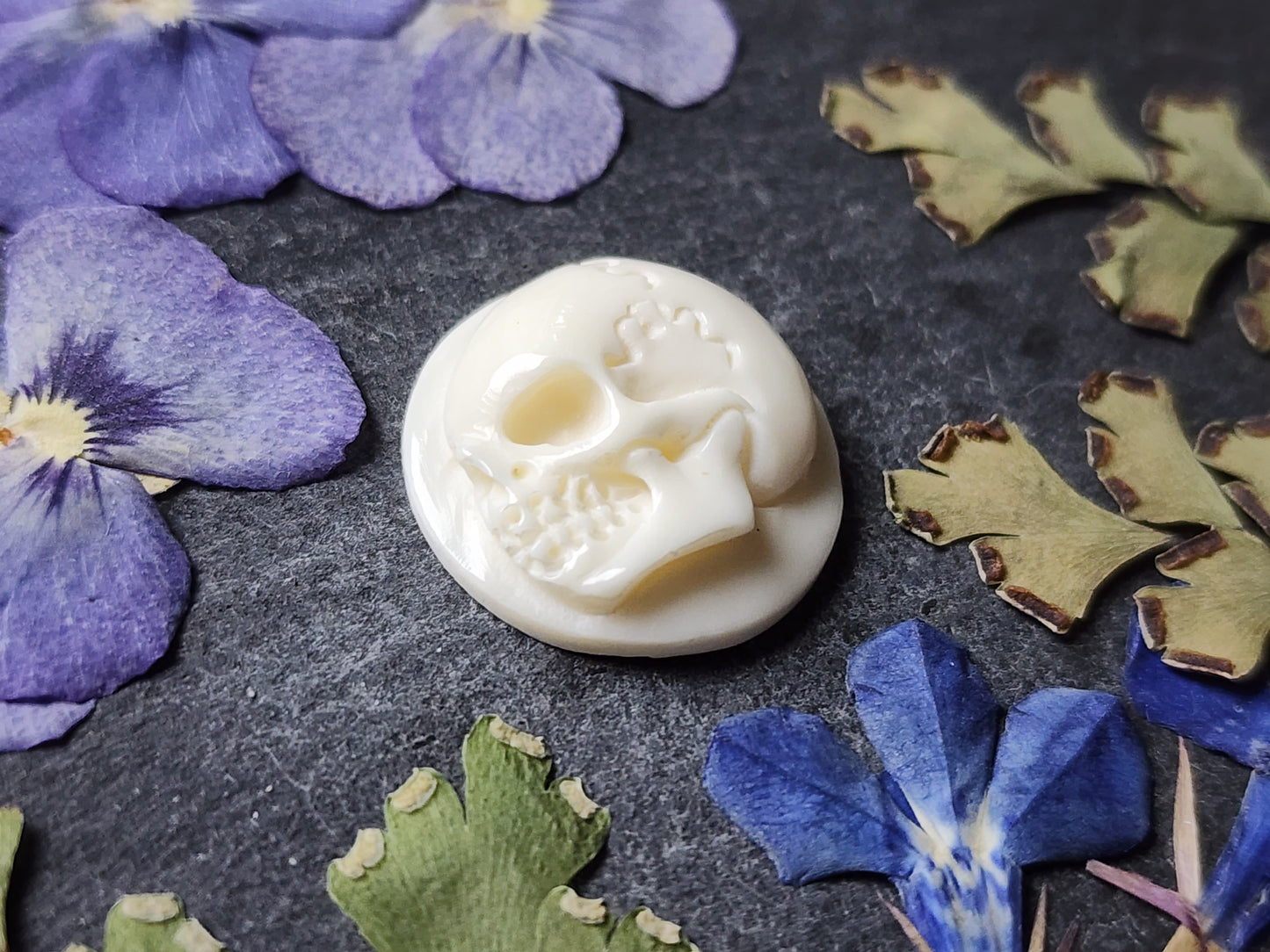 Side profile skull
