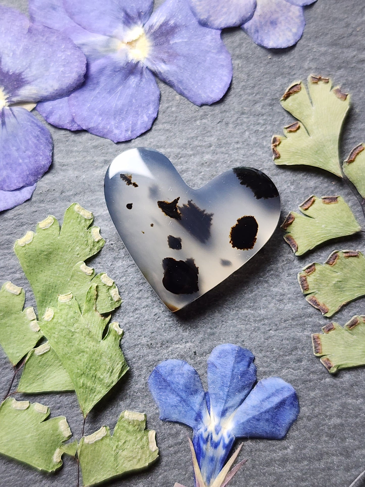 Montana agate heart