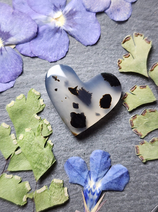 Montana agate heart