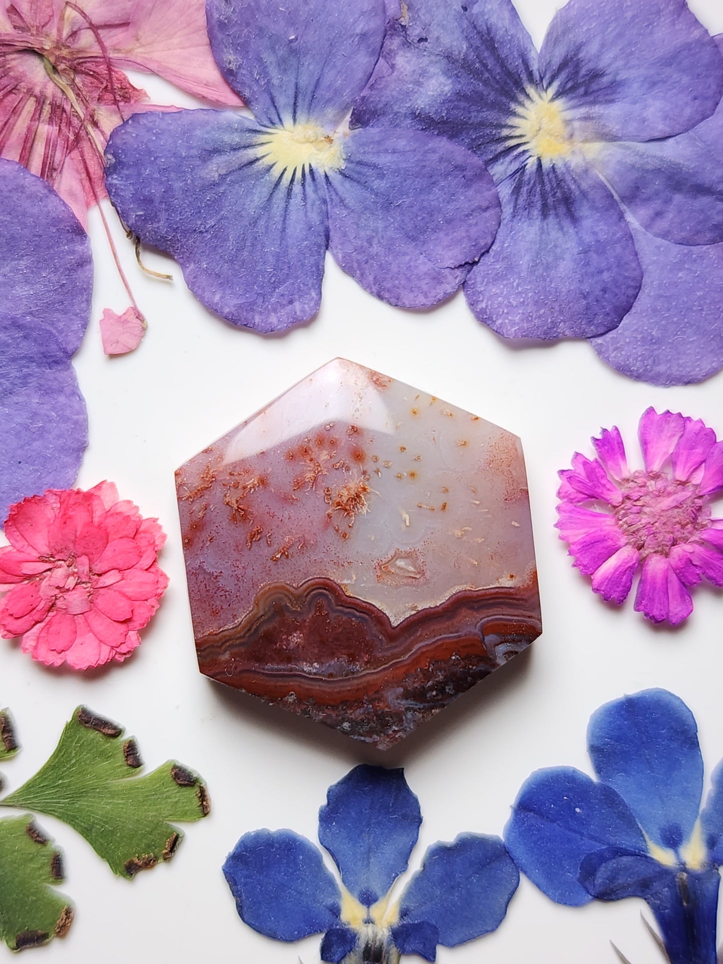 Rincon lace agate