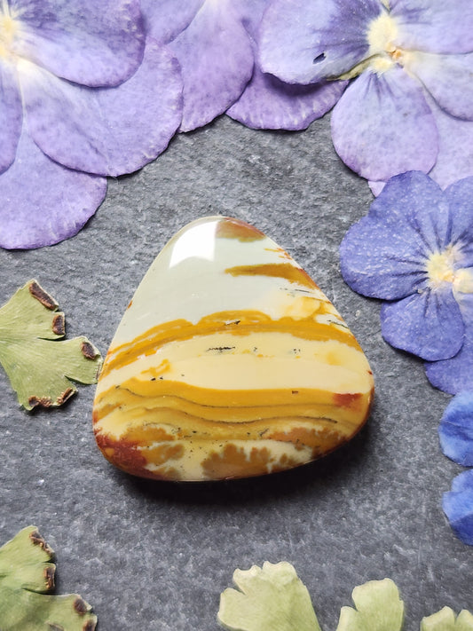 Owyhee picture jasper