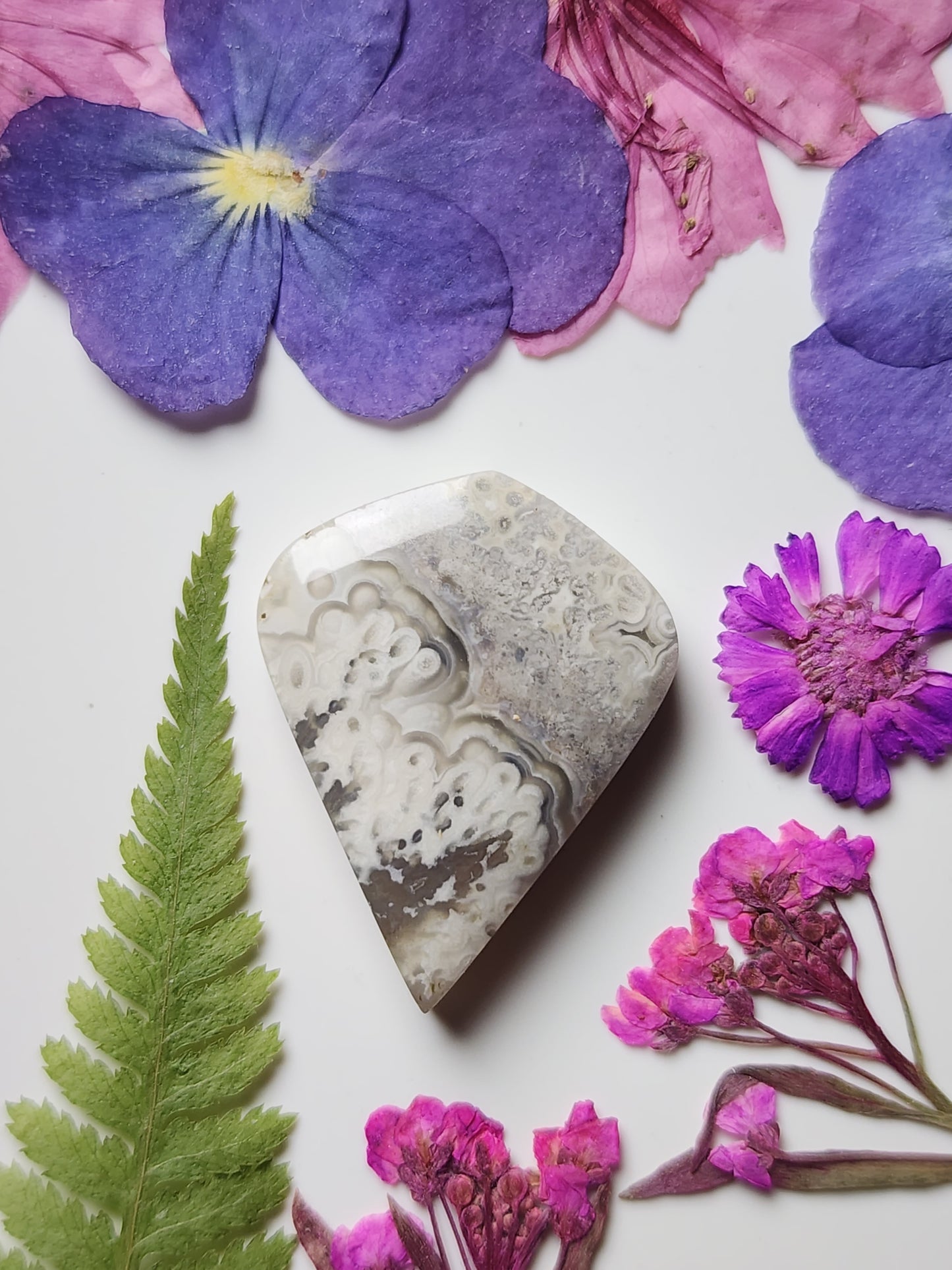 Crazy lace agate