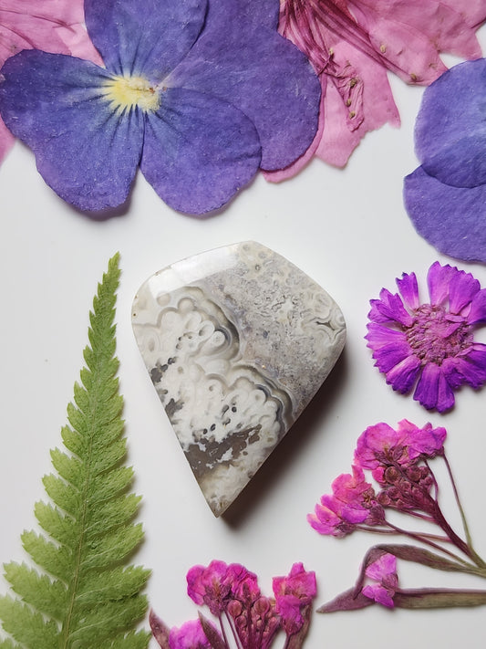 Crazy lace agate