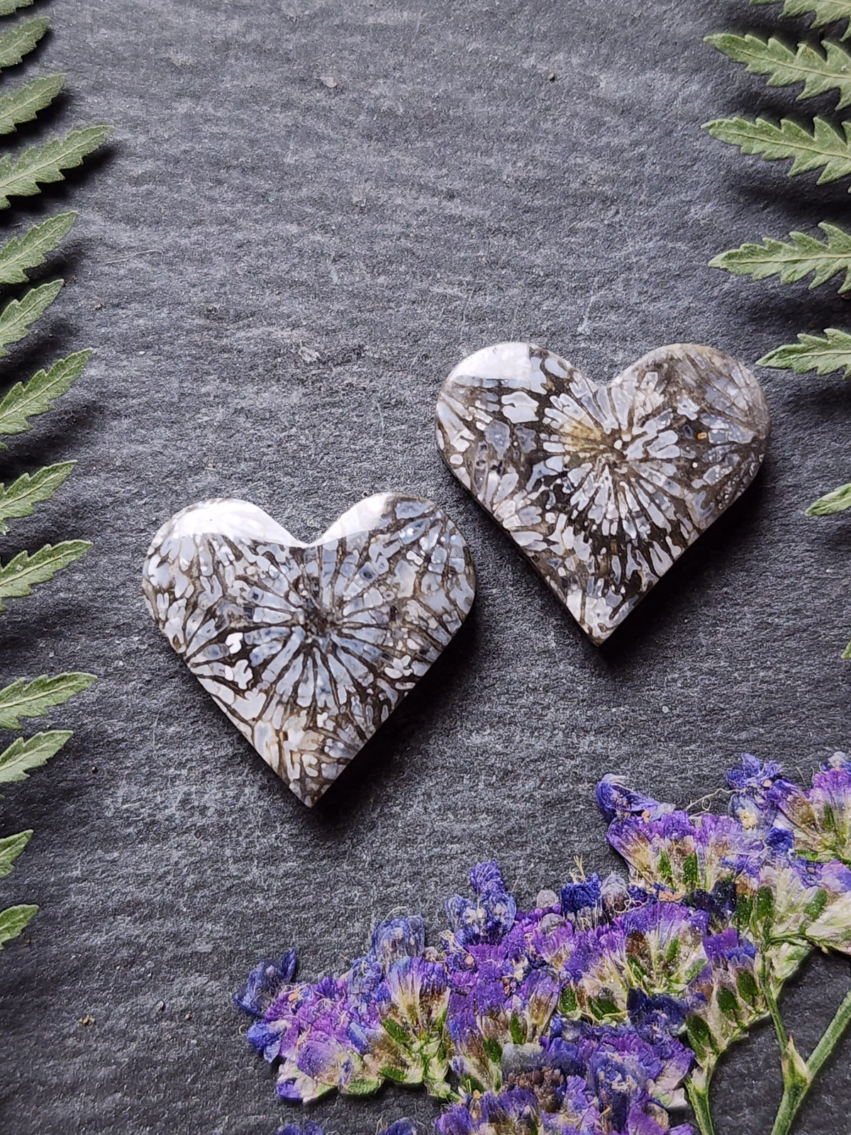 Fossilized coral heart pair