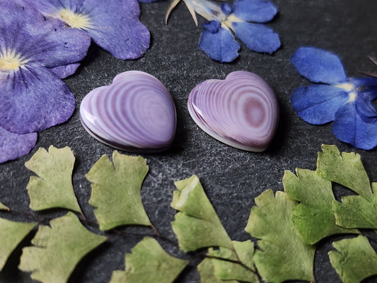 Wampum shell heart pair