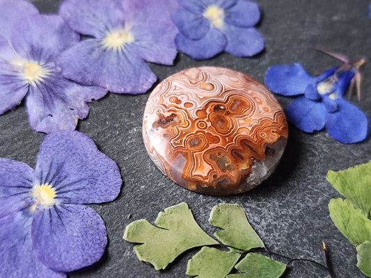 Laguna lace agate