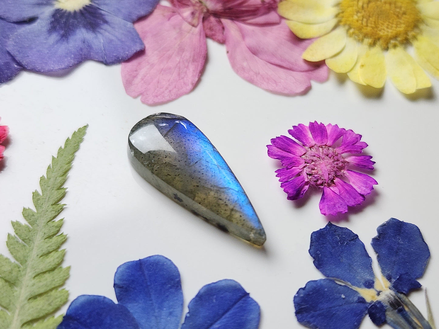 Labradorite
