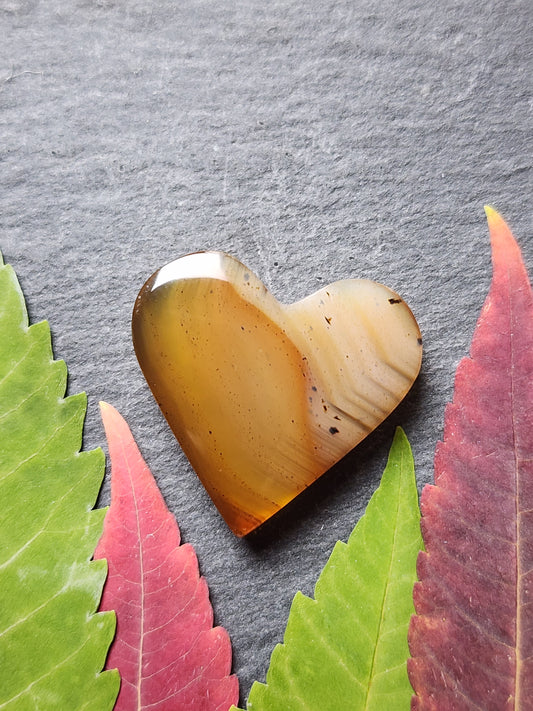 Montana agate heart