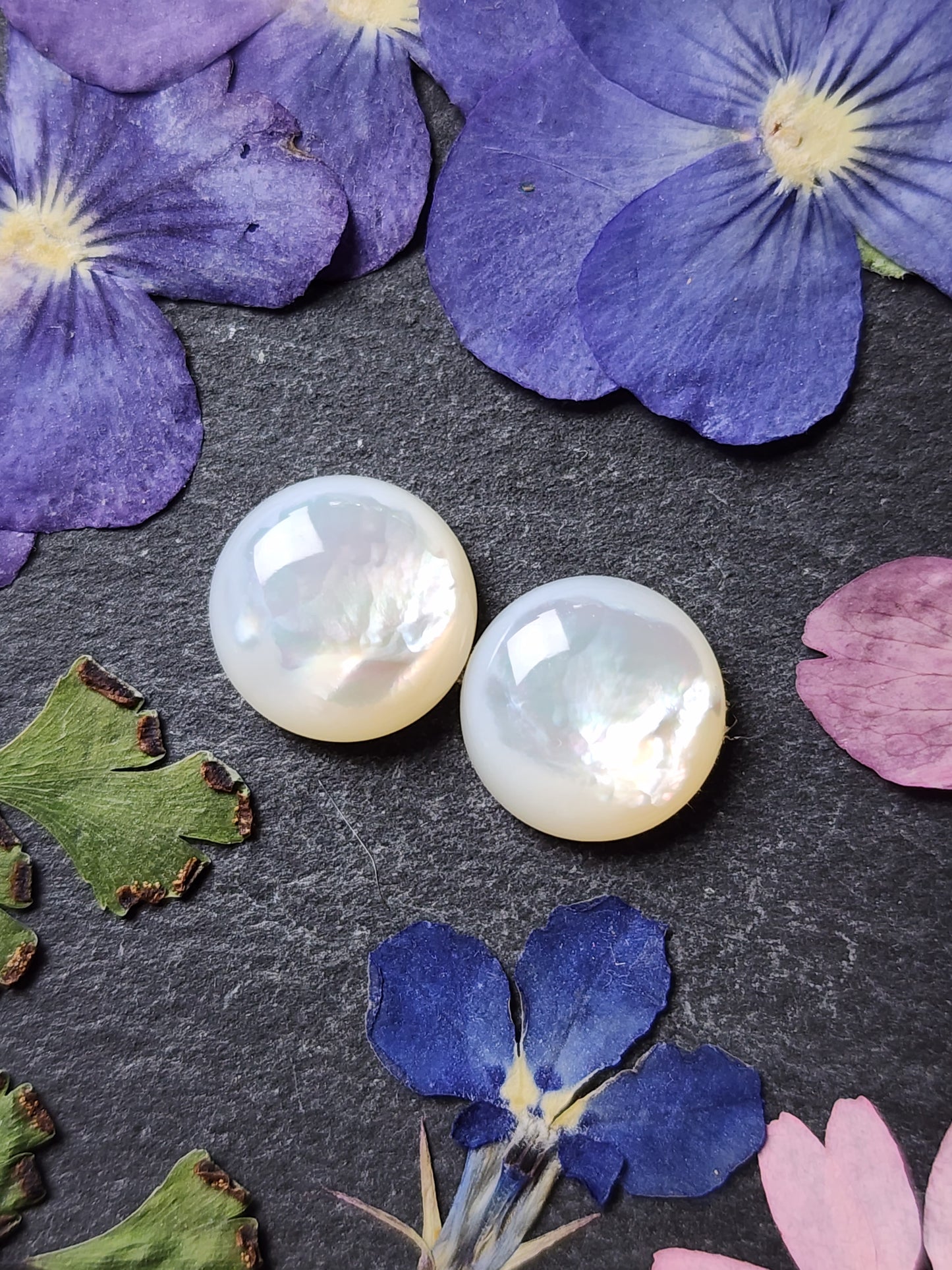 Mother of pearl shell pair