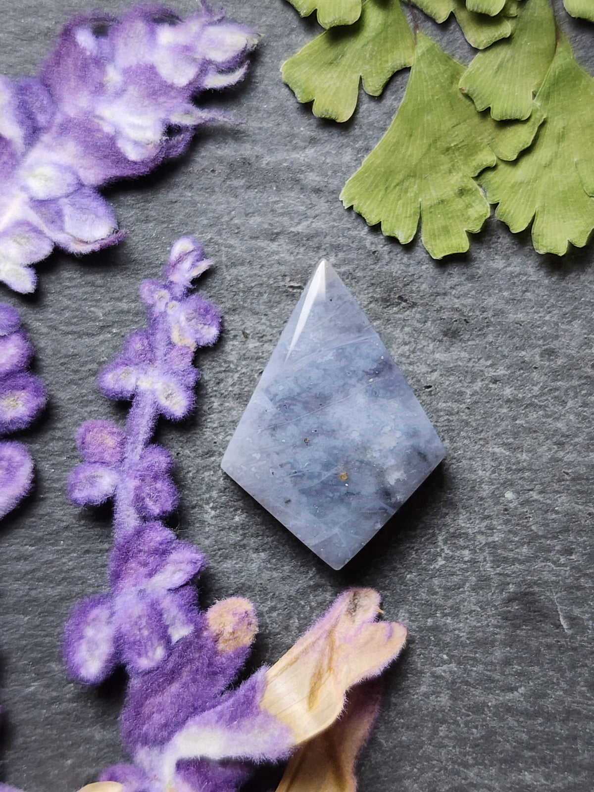 Blue petrified palm wood