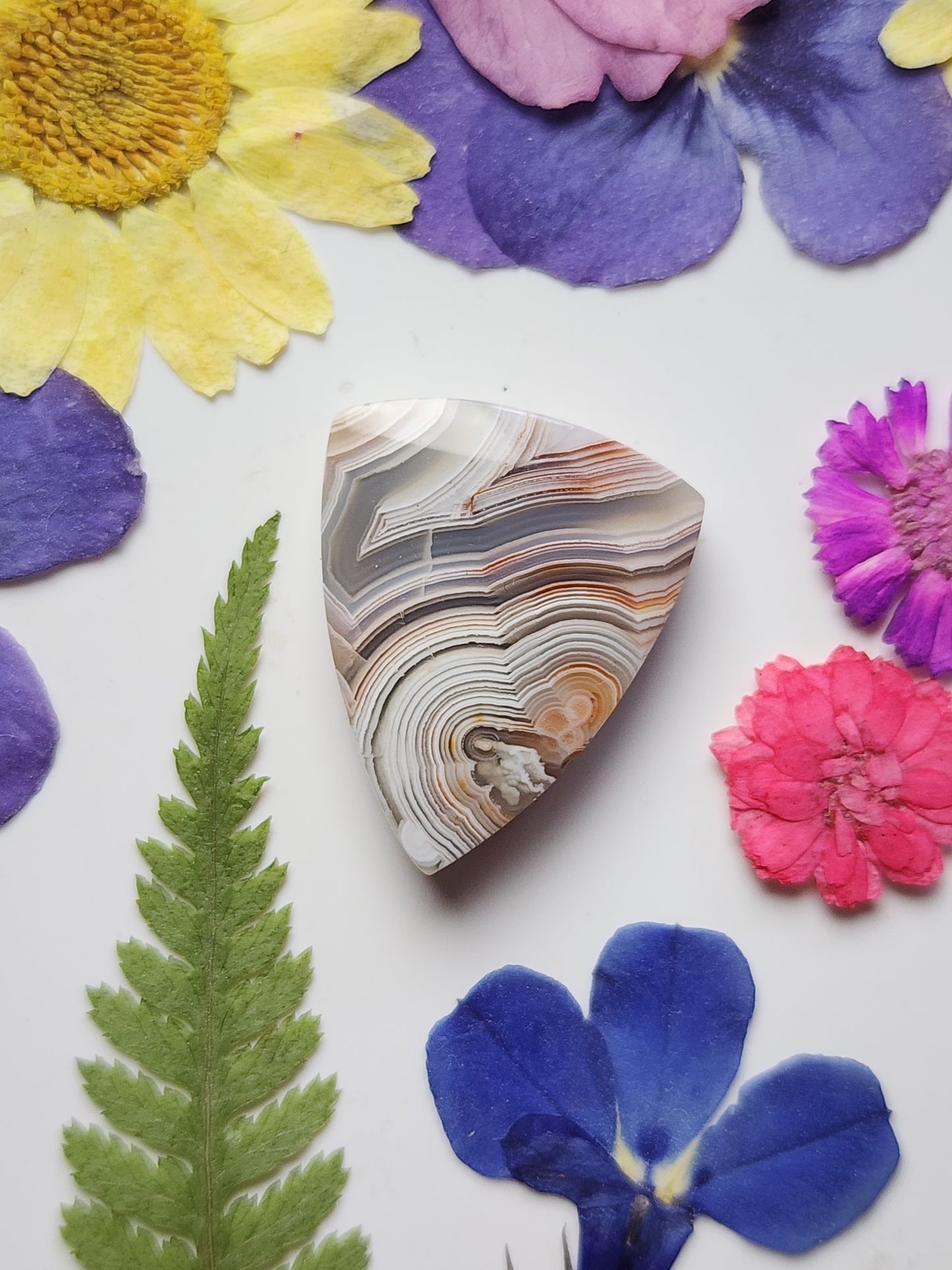 Laguna lace agate