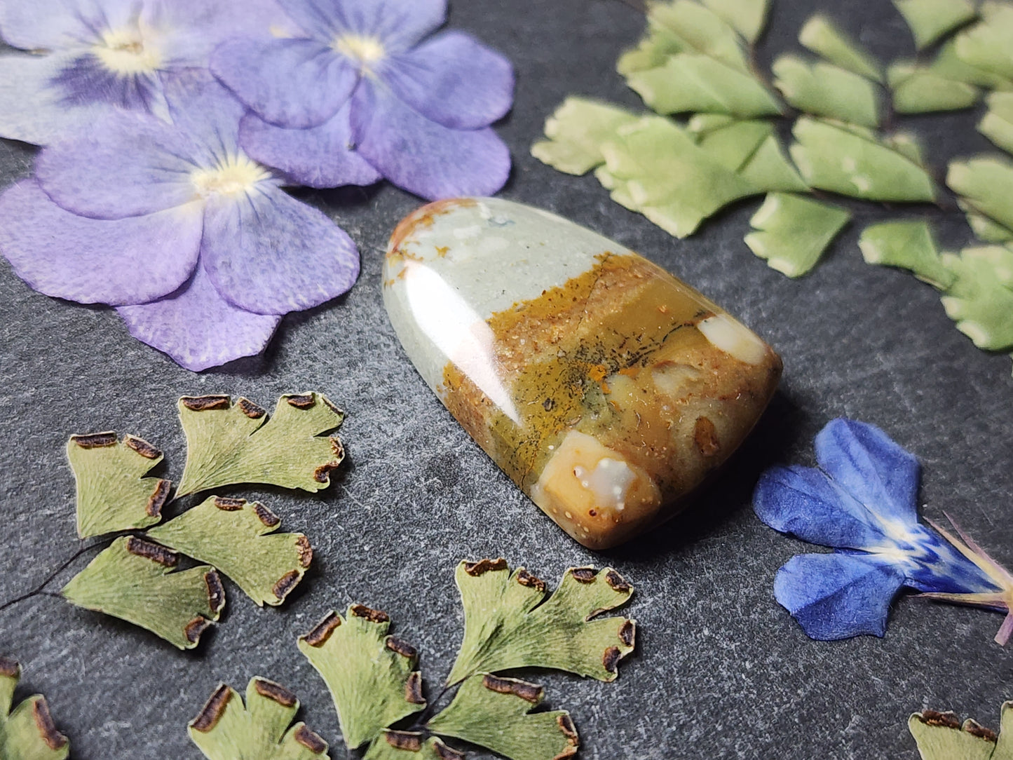 Owyhee picture jasper