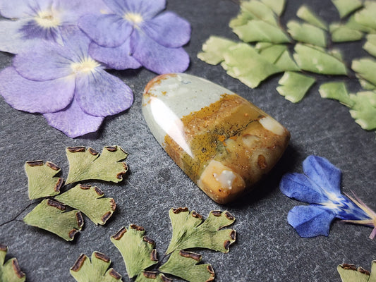 Owyhee picture jasper