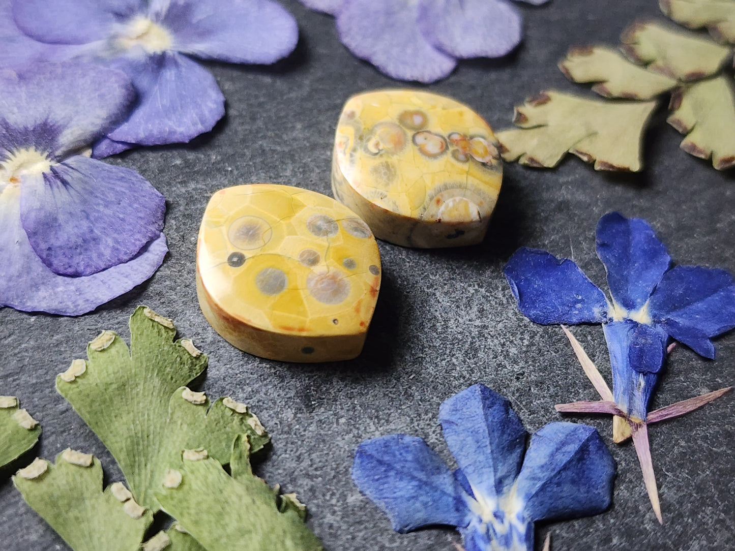 Galaxy Rhyolite pair