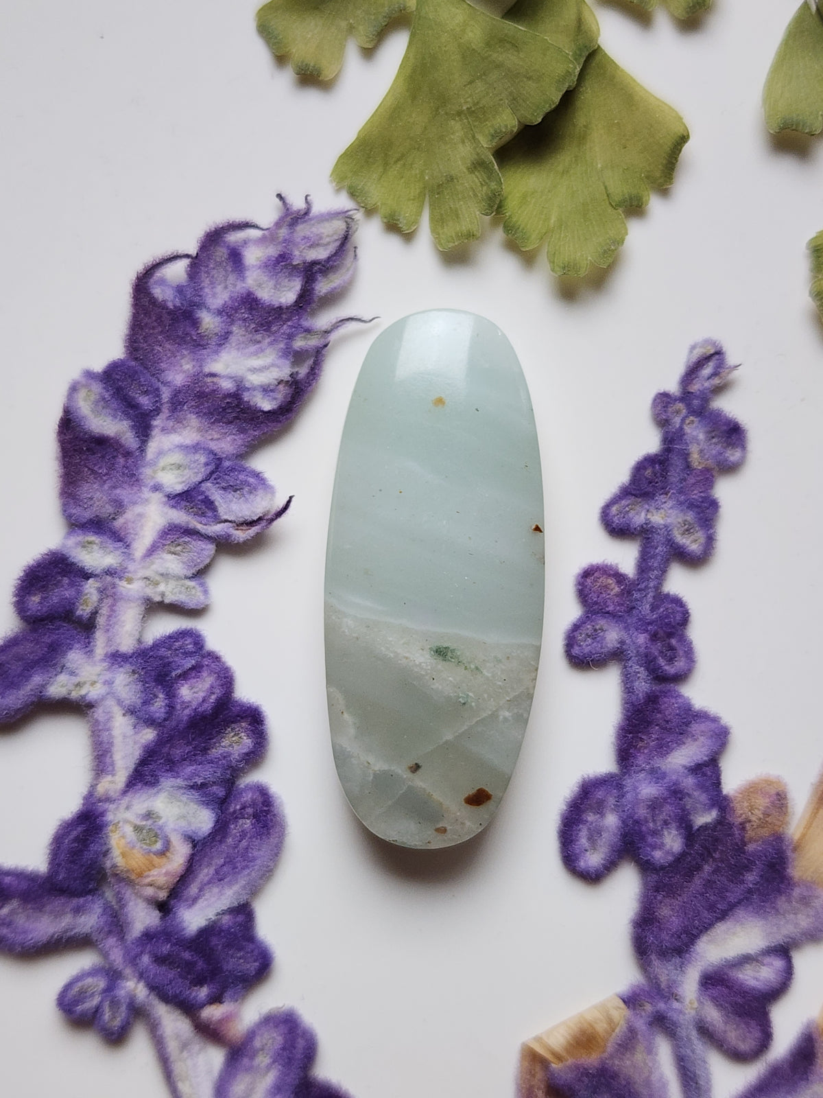 BC Ocean picture stone
