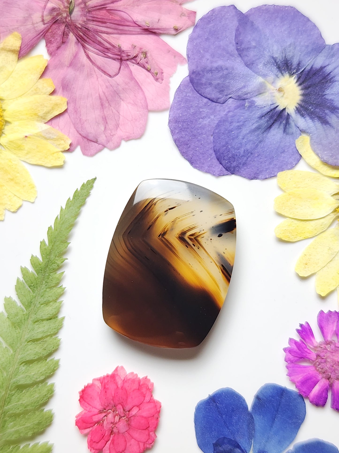 Montana agate