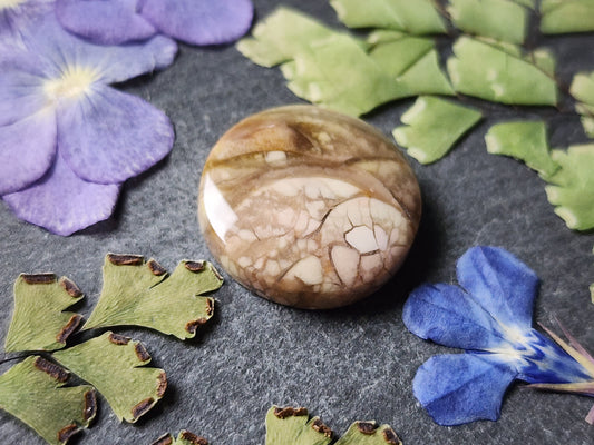 Royal Imperial jasper
