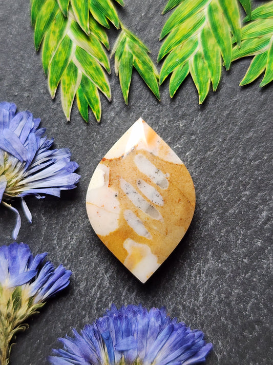 Spotted Fawn jasper