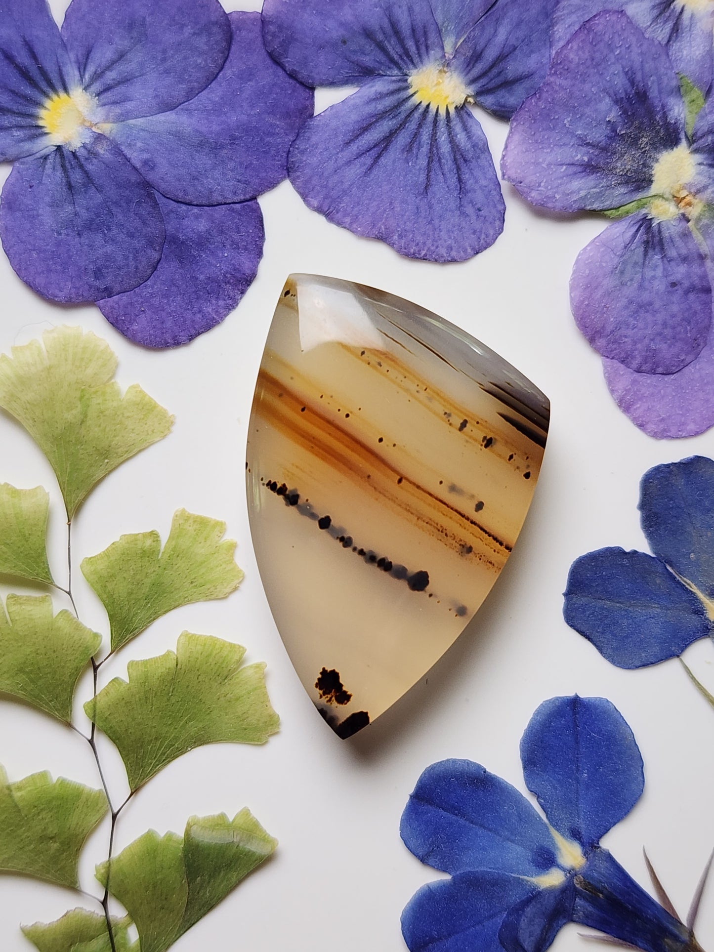 Montana agate