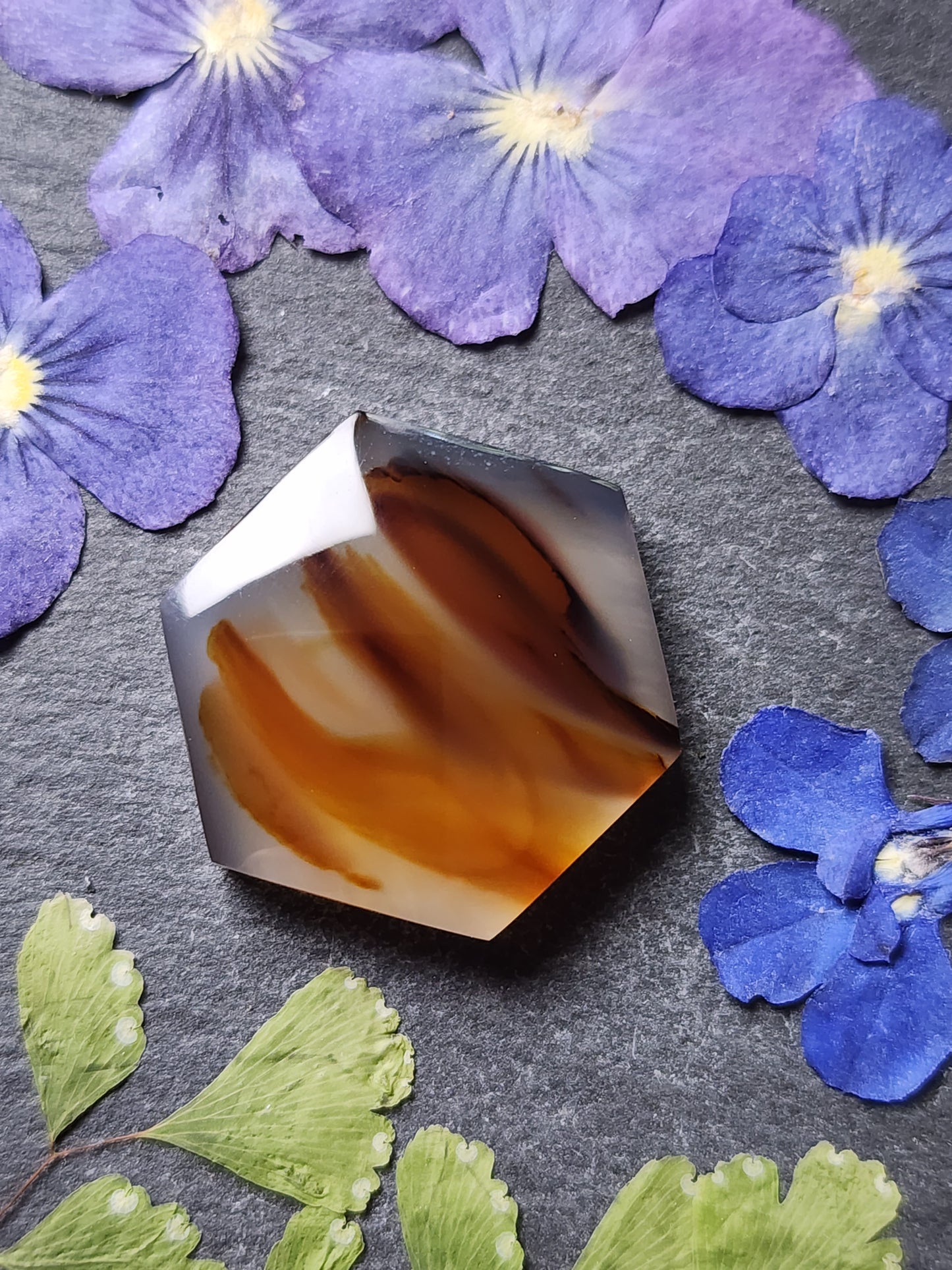 Montana agate
