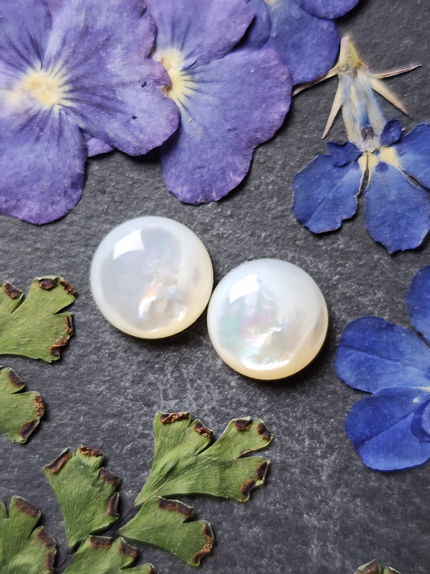 Mother of pearl shell pair (A1)