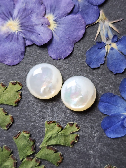 Mother of pearl shell pair (A1)