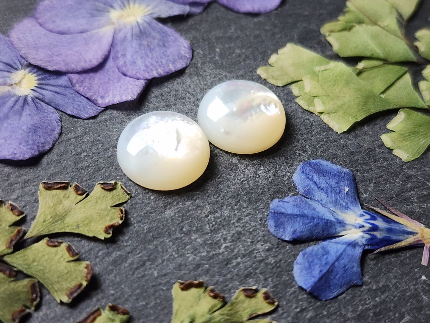 Mother of pearl pair