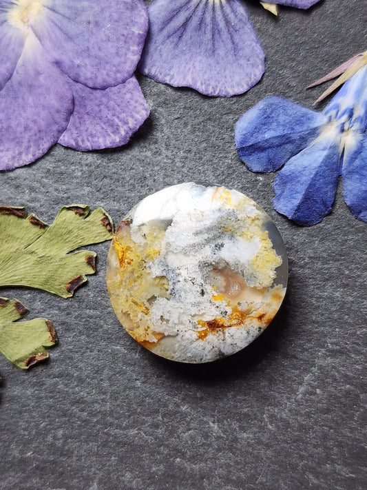 North Ridge plume agate