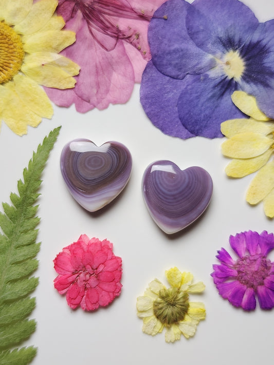 Wampum shell heart pair
