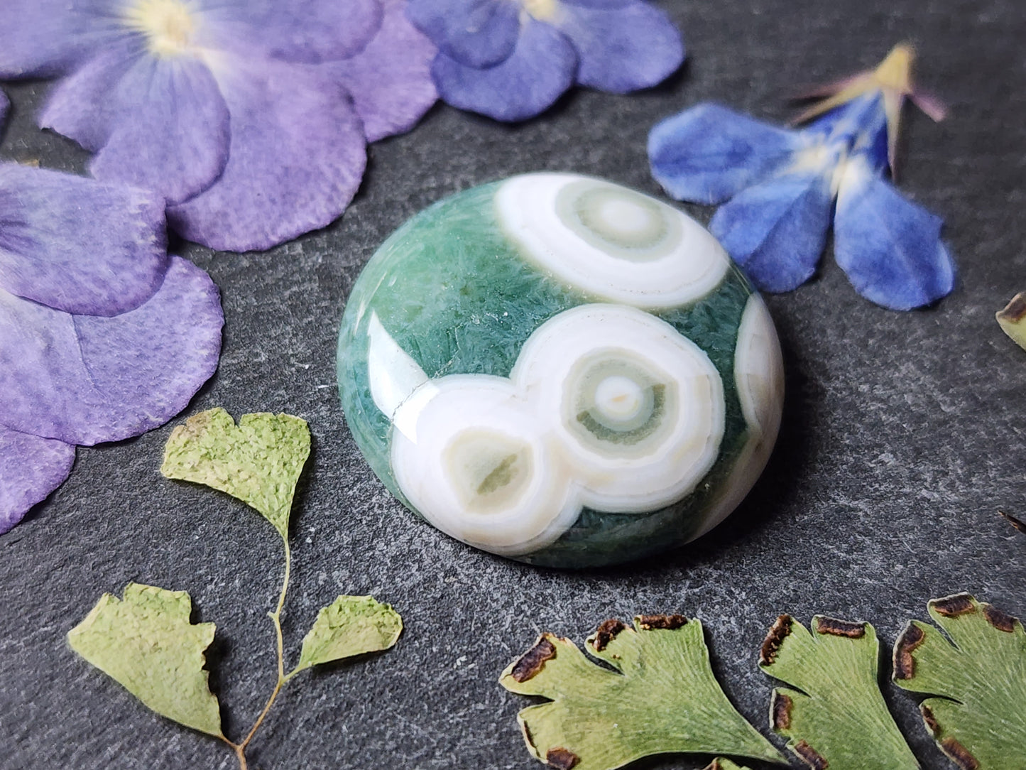 Ocean jasper