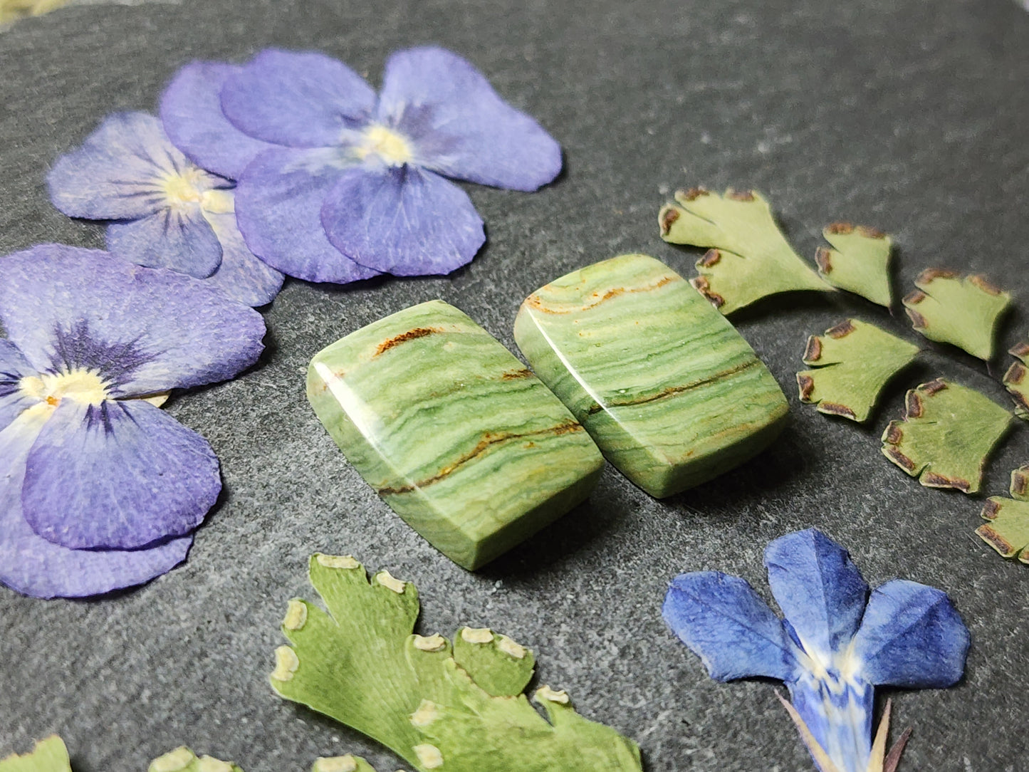 Gary green jasper/Larsonite pair