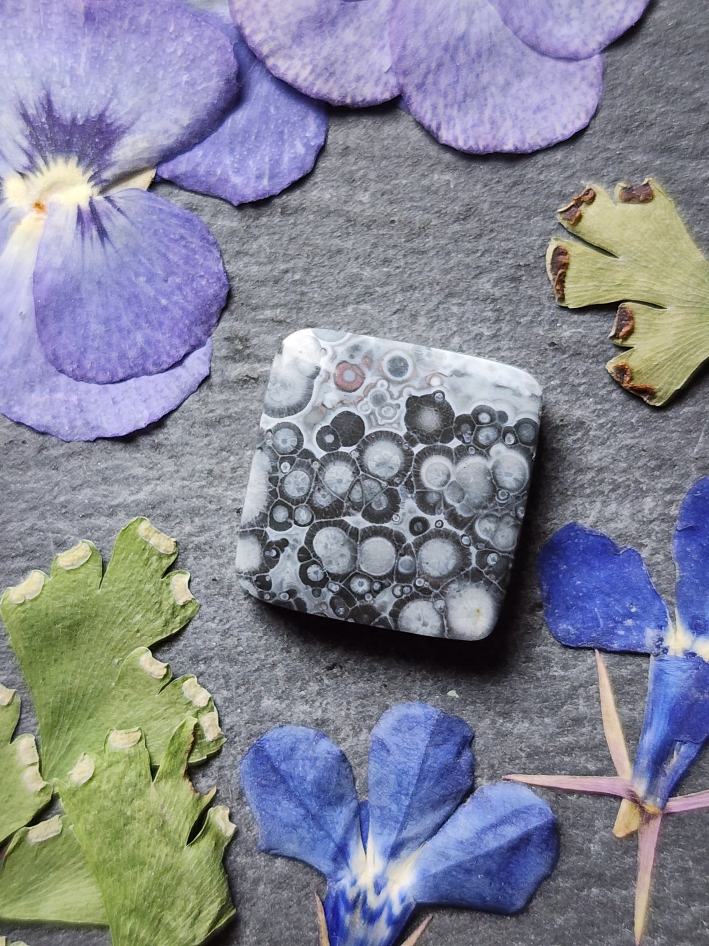 Galaxy Rhyolite