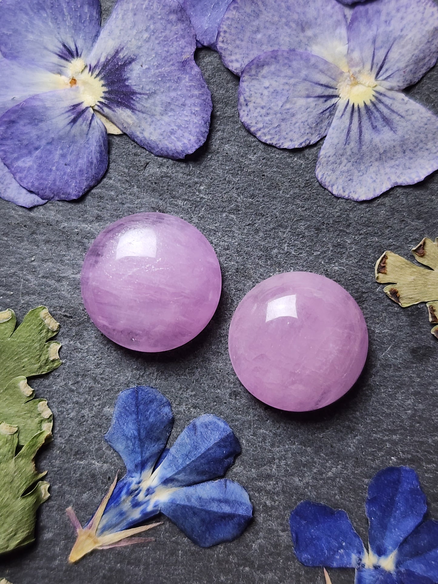 Lavender Kunzite pair