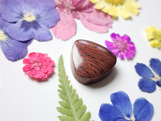 Indian paint stone
