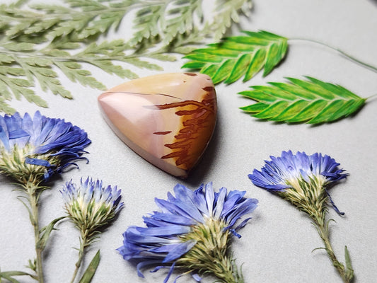 Red Falcon jasper