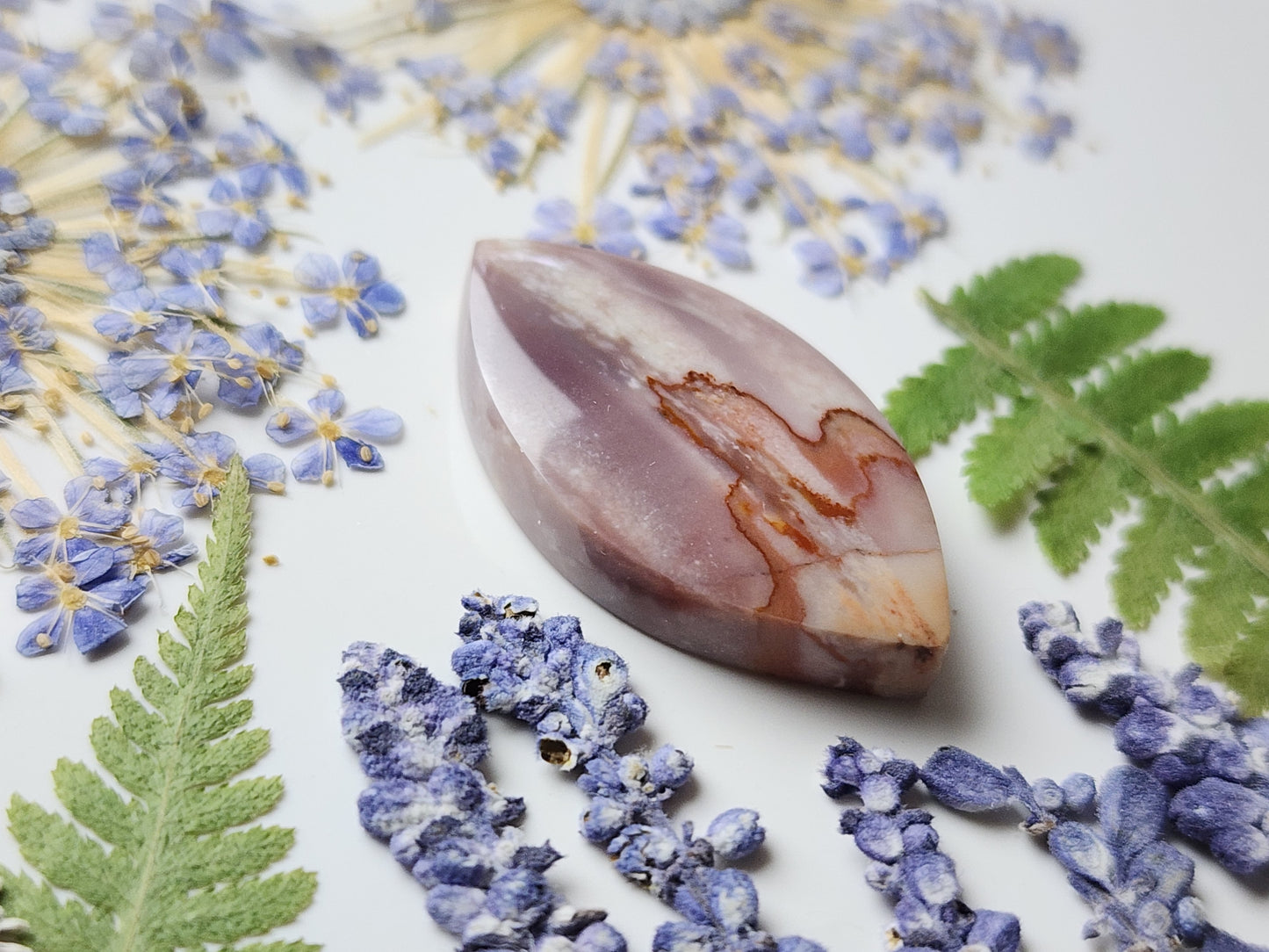 Polychrome jasper
