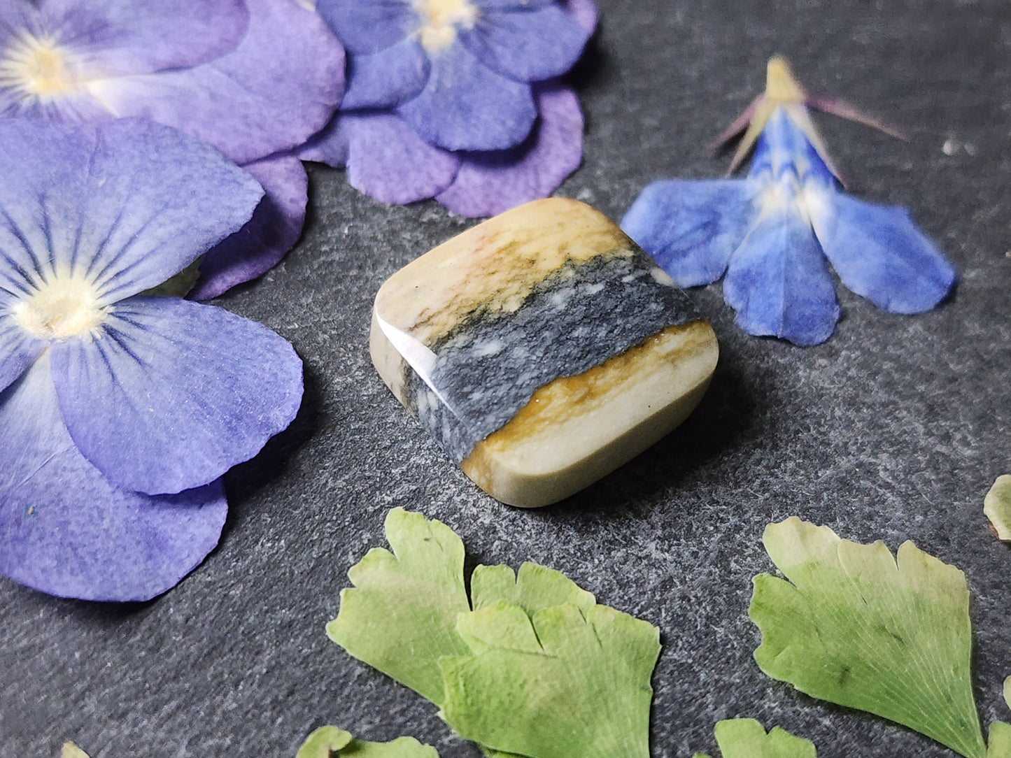 Starry night picture jasper